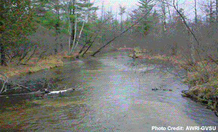 Erosion Control